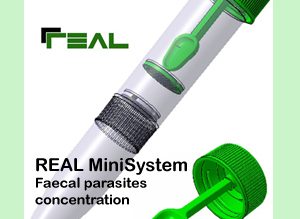 system for stool sample conservation and concentration