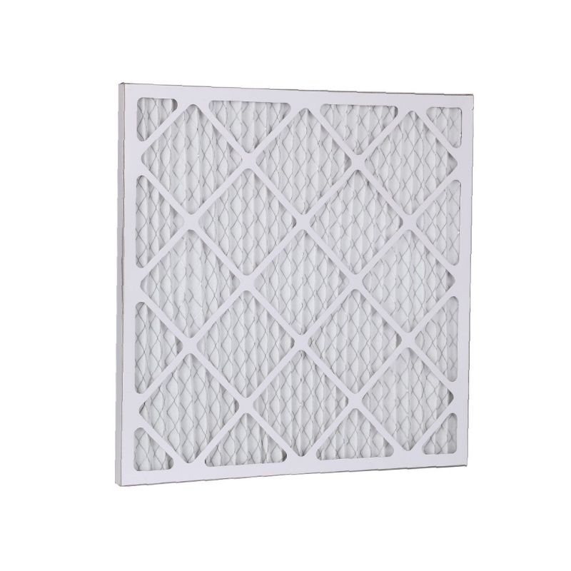 Primary Air Filter