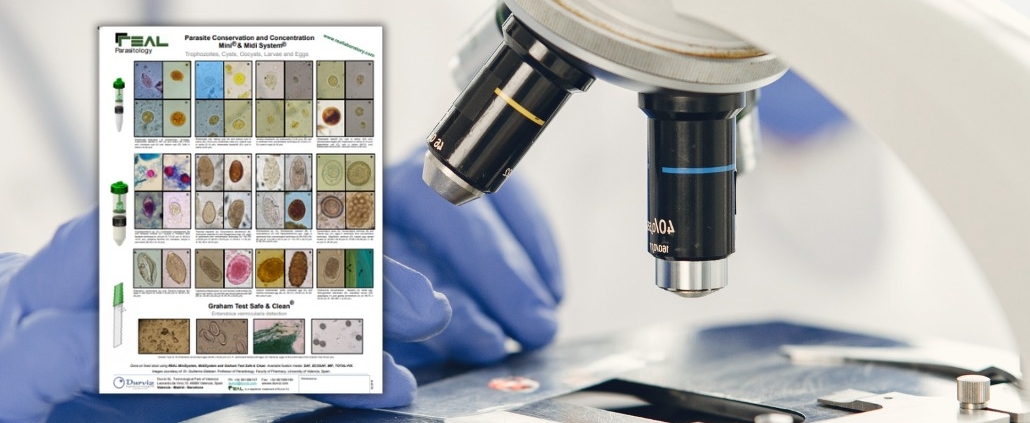 REAL Intestinal Parasites Poster